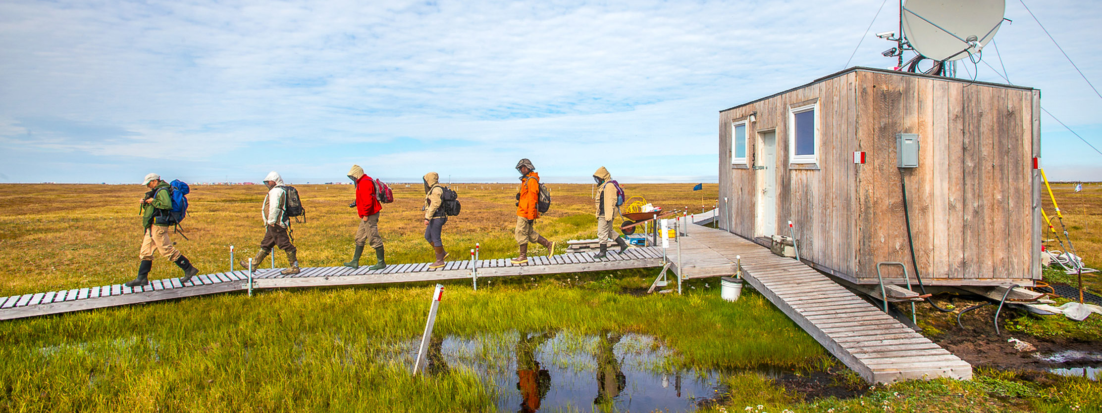 A string of scientists clad in mosquito netting and jackets walk single-file out of a hut on the alaskan tundra