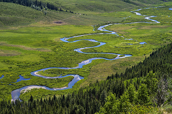 A stream winding through a grassy mountain valley