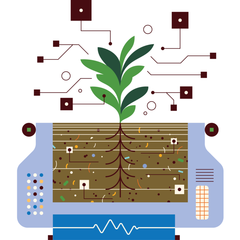 Illustration of plant and it's roots surrounded by various computer circuit styled shapes