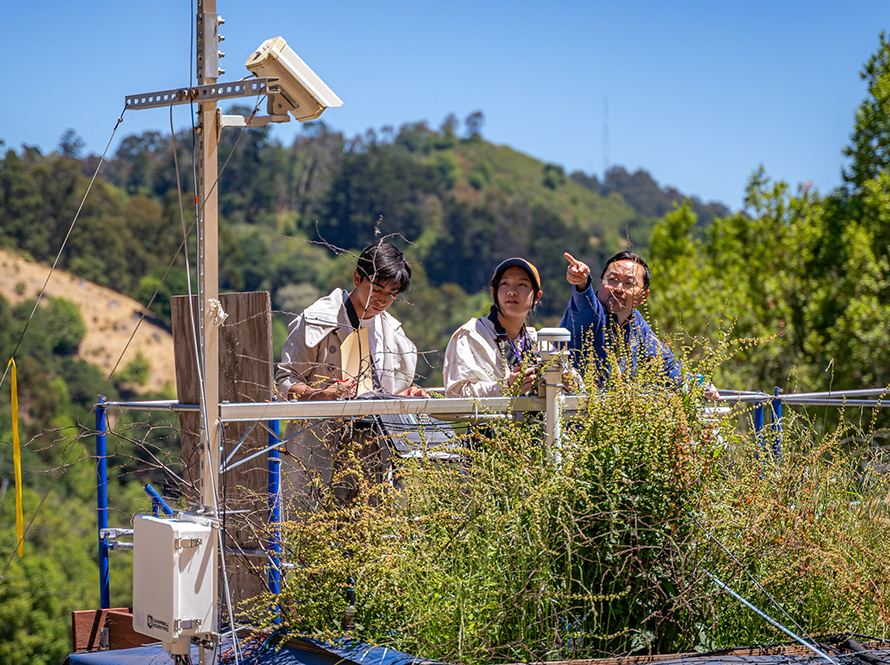 A pair of students and an adult scientist standing in front of a bed of overgrown plants, while the scientist points to scientific instruments and the students take note